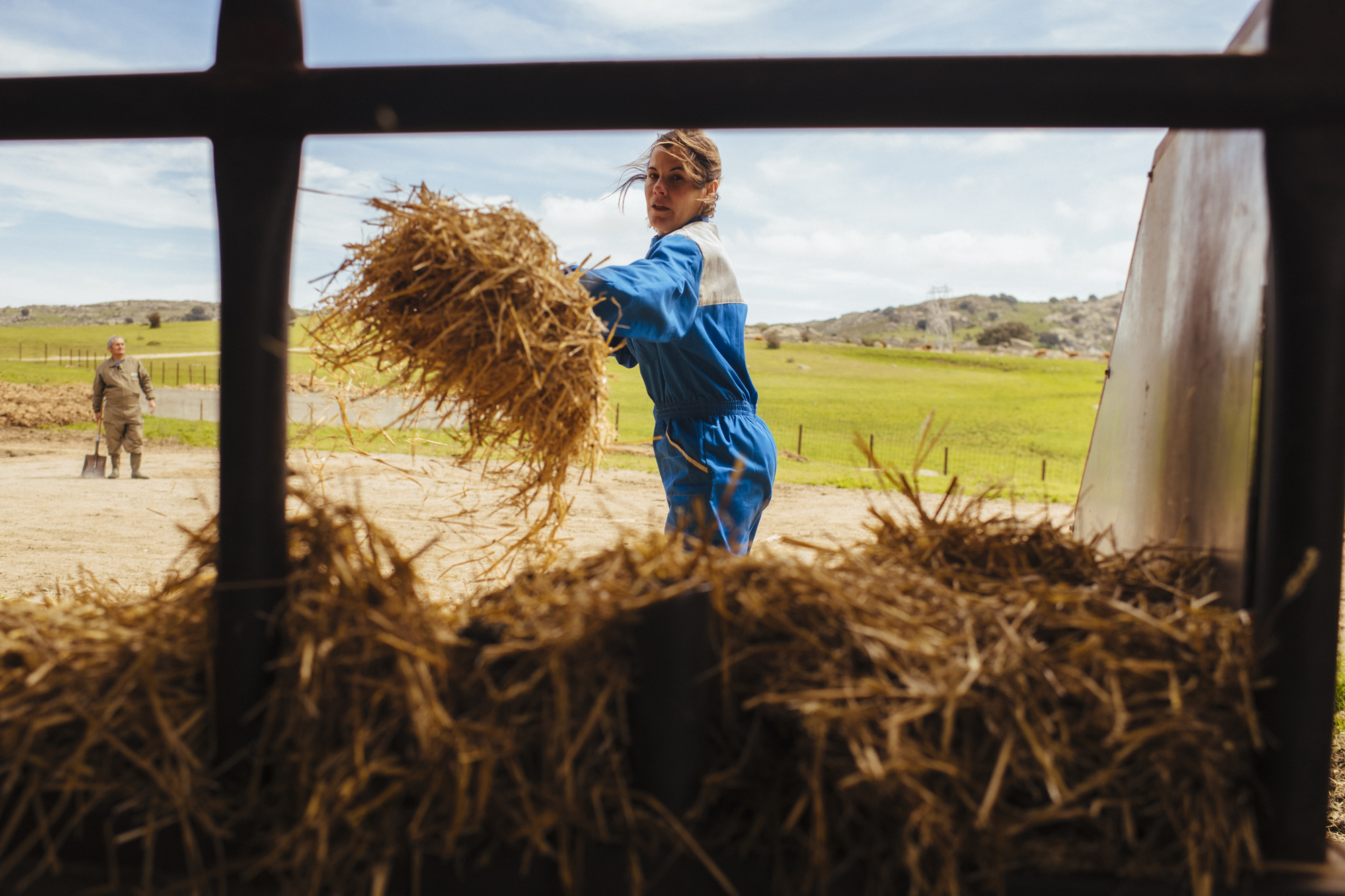 European beef cattle as a driver of economic and social sustainability for rural areas