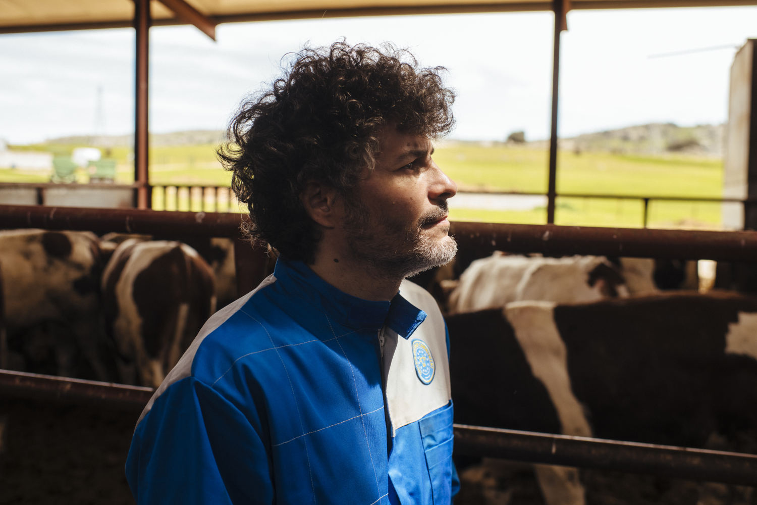 Beef in Spain, committed to reducing emissions