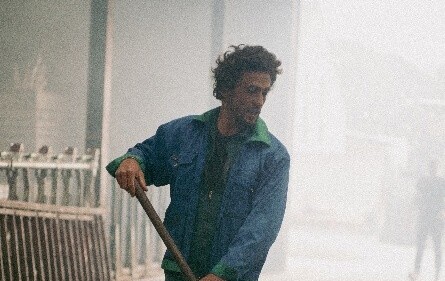 Belgium’s cattle sector: territorial roots, jobs, and resilience in the “Blue Crescent”