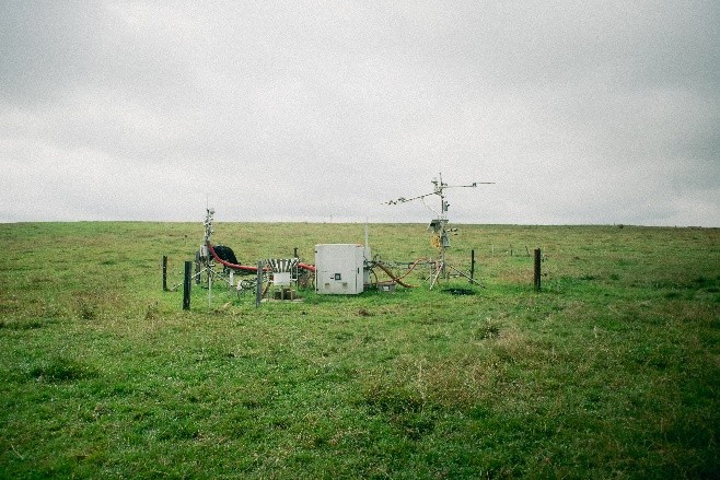 Green Deal: What the New European Policy Means for the Beef Industry in Belgium